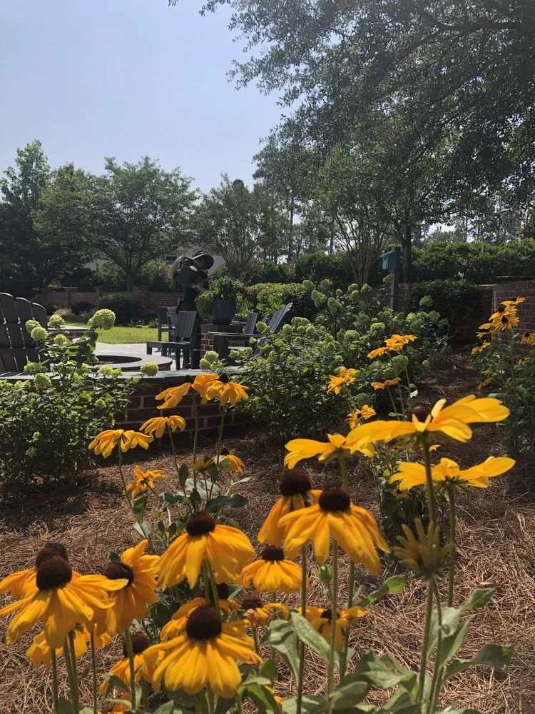 Reliable outdoor landscaping experts serving Columbia, SC - Front Yard Forest