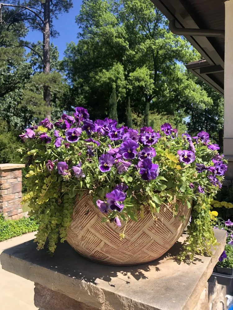 Affordable lawn care service near you across Columbia, SC - Front Yard Forest