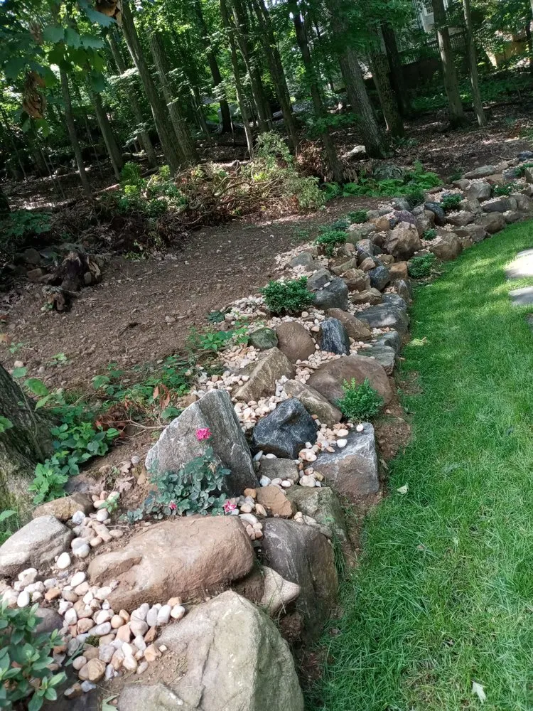 Trusted yard cleanup service in Union City, NJ by Frontera Lands