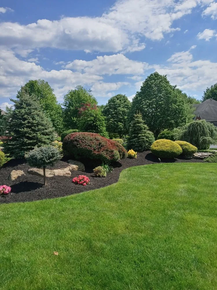 Trusted garden landscaping in Union City, NJ by Frontera Lands