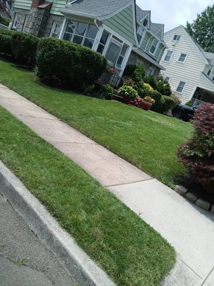 Top-rated landscaping services experts serving Union City, NJ - Frontera Lands