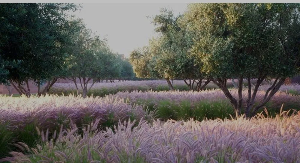 Top-rated yard maintenance for homes across Lower Lake, CA - Frontier Farm & Landscape Co