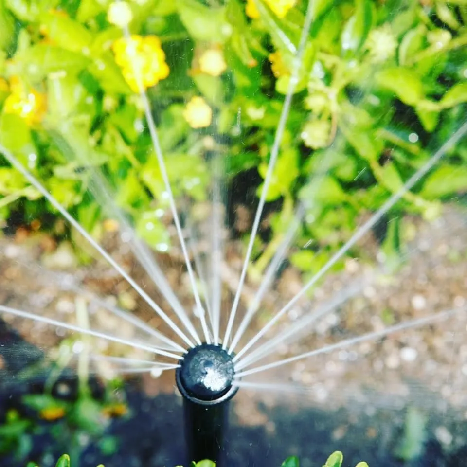 Reliable residential landscaping near you across Fredericksburg, TX - FRONTIER IRRIGATION & LANDSCAPE