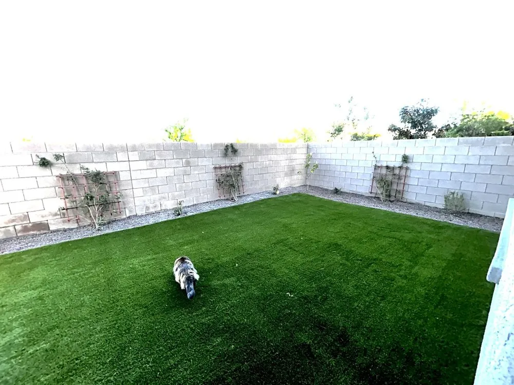 Custom outdoor landscaping near you across Las Vegas, NV - Frontier Landscaping