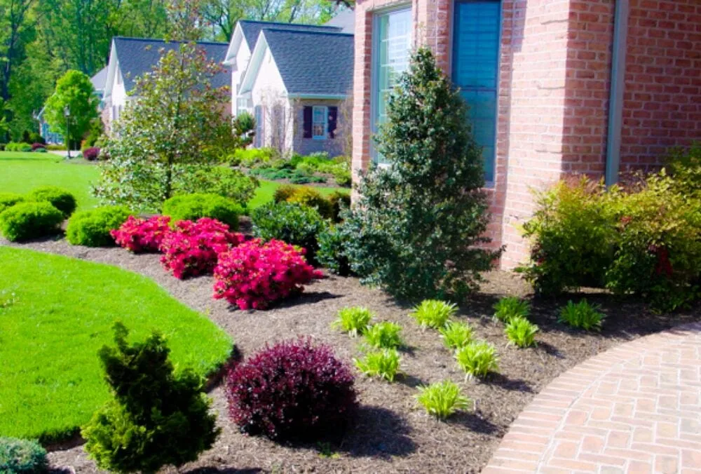 Top-rated landscaping services for beautiful yards across Lexington, SC - Frontier Lawn and Landscaping
