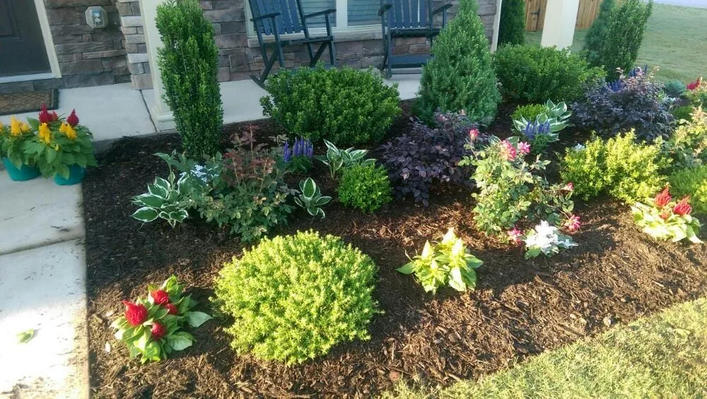 Expert residential landscaping in Lexington, SC by Frontier Lawn and Landscaping