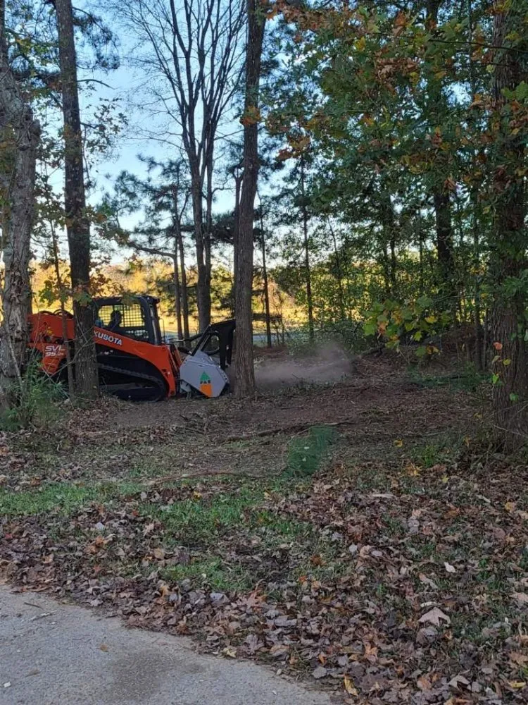 Affordable lawn care service in Harleton, TX - Frontier Reclamation Services