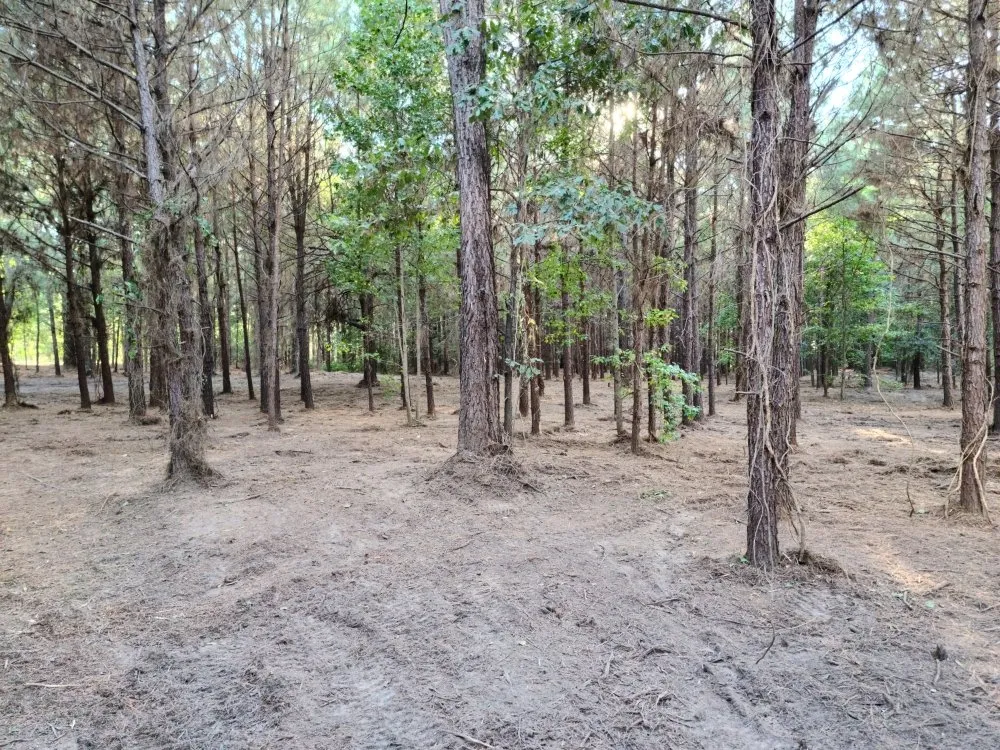 Affordable landscape installation near you across Harleton, TX - Frontier Reclamation Services