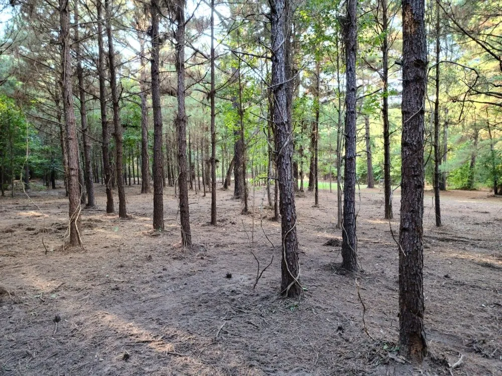 Trusted yard maintenance with custom design across Harleton, TX - Frontier Reclamation Services