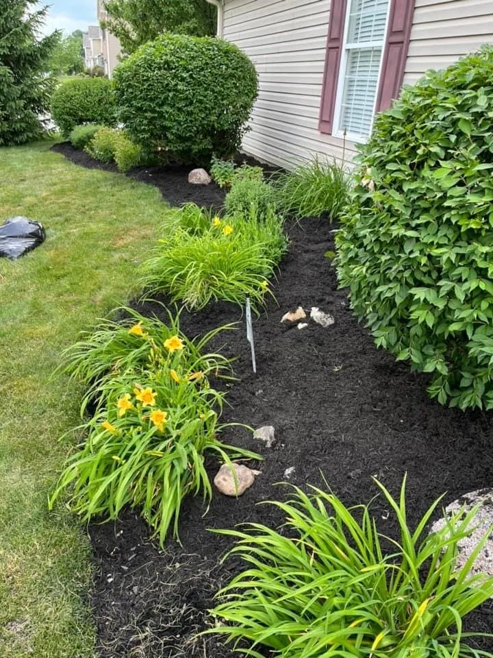 Trusted landscaping services in Fishers, IN by Frontline Landscaping