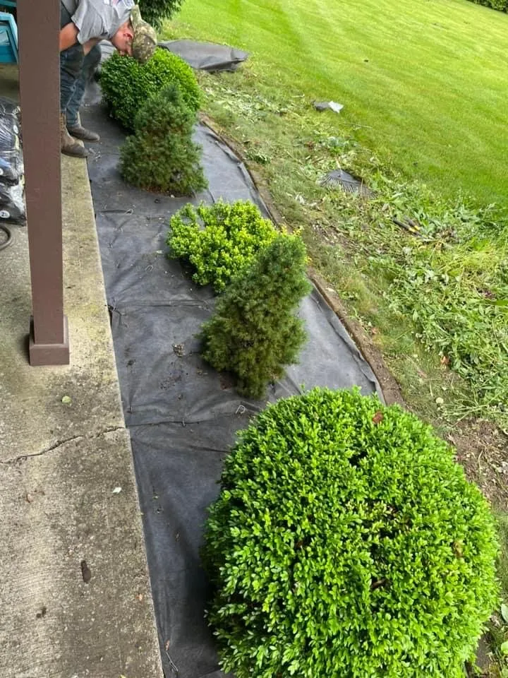 Professional lawn mowing service in Fishers, IN - Frontline Landscaping