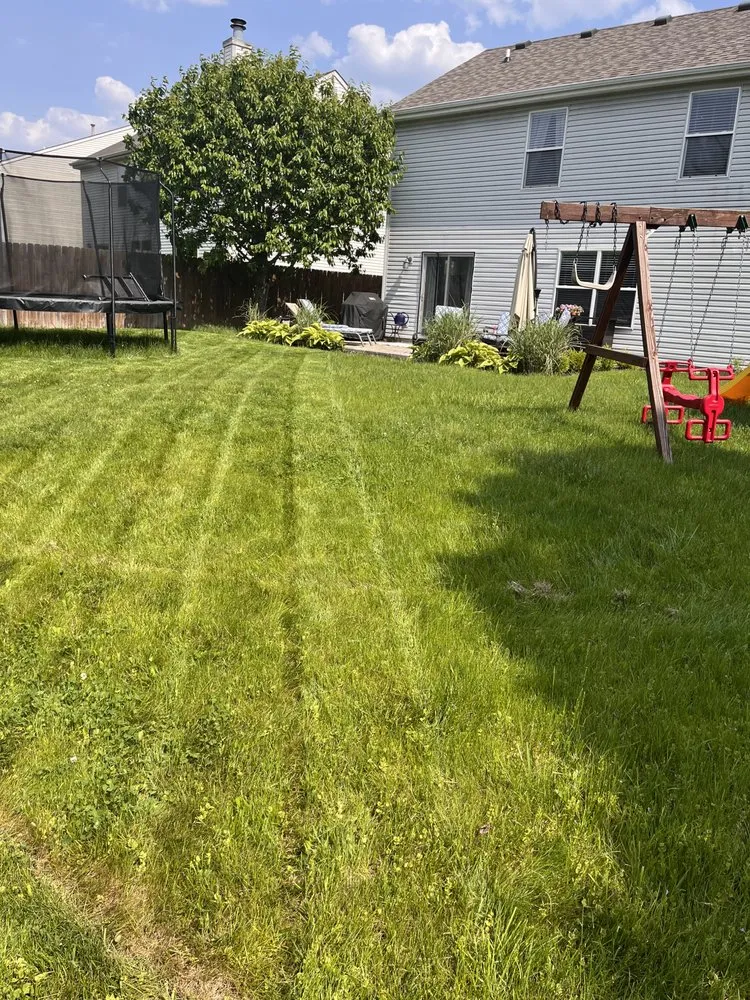 Top-rated yard cleanup service for year-round maintenance across Fishers, IN - Frontline Landscaping