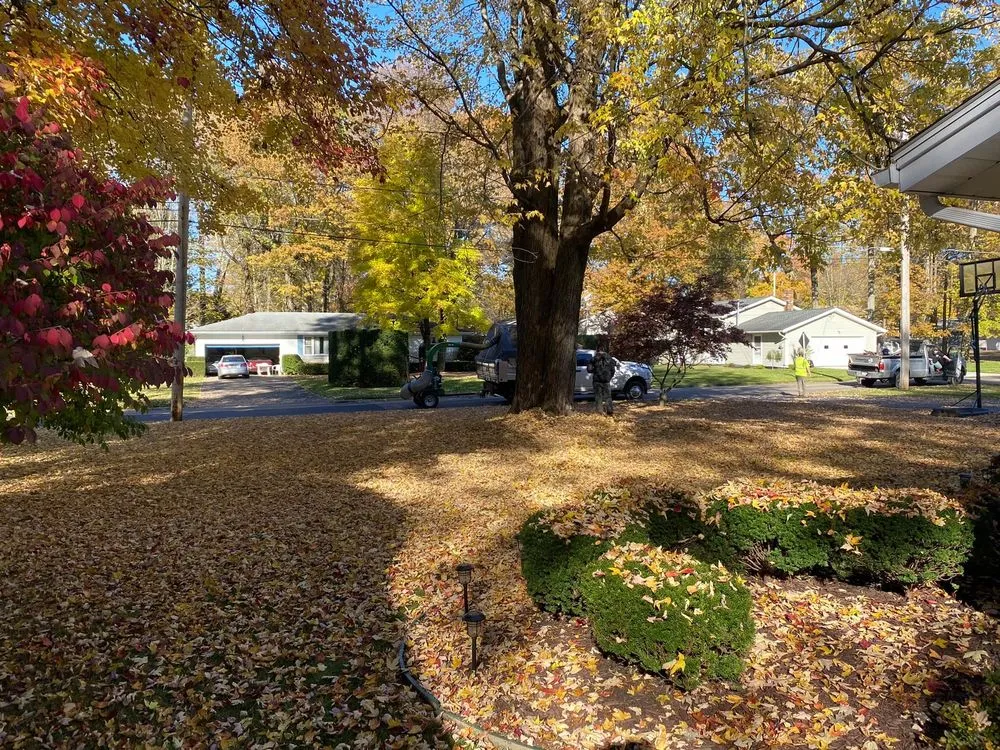 Expert lawn mowing service in Austintown, OH by Frontline Lawn Care & Landscaping