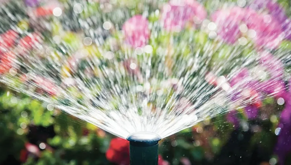 Reliable lawn mowing service experts serving Sarasota, FL - Frontline Property Services