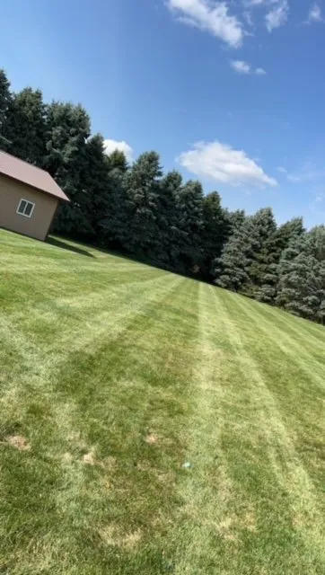 Local yard cleanup service near you in Lanark, IL by Frontyard Fades