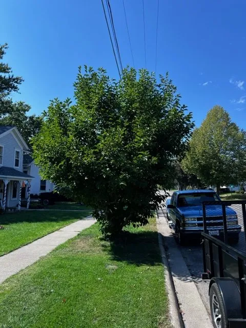 Affordable residential landscaping for homes across Lanark, IL - Frontyard Fades