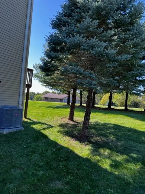 Local outdoor landscaping in Lanark, IL - Frontyard Fades