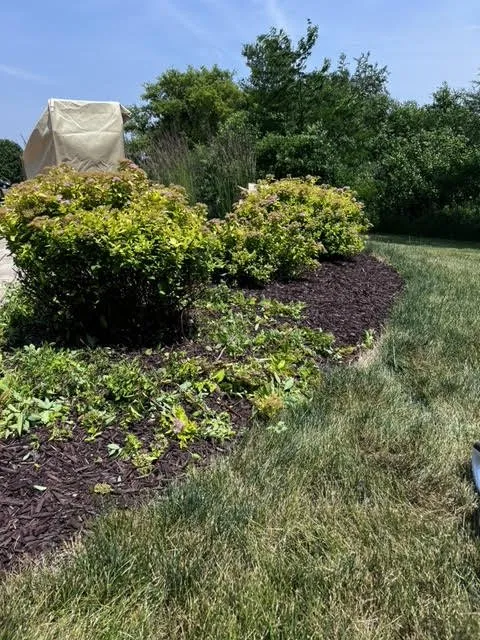 Expert lawn care service experts serving Lanark, IL - Frontyard Fades