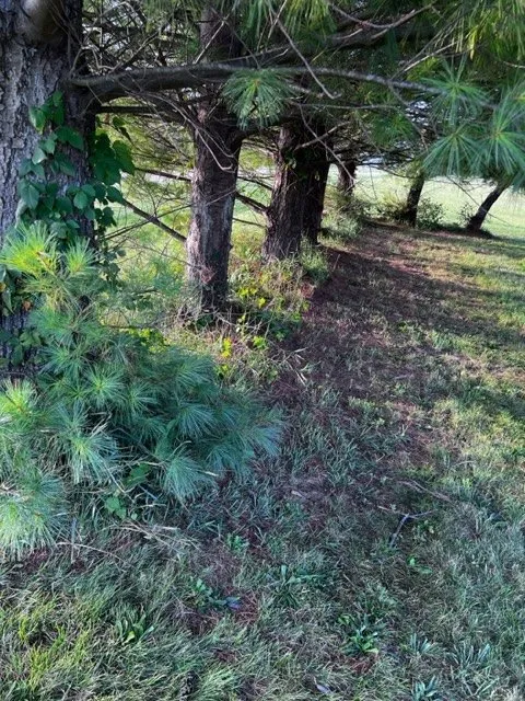 Reliable landscape installation in Lanark, IL by Frontyard Fades