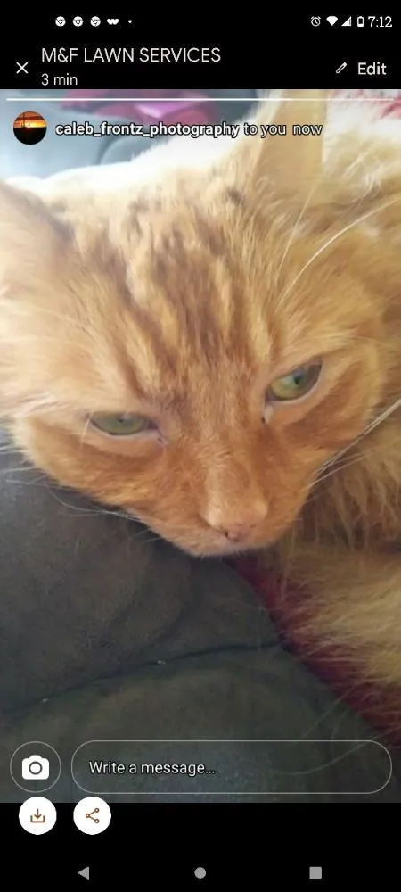 Trusted yard maintenance for year-round maintenance in Mansfield, OH by Frontz Lawn Care