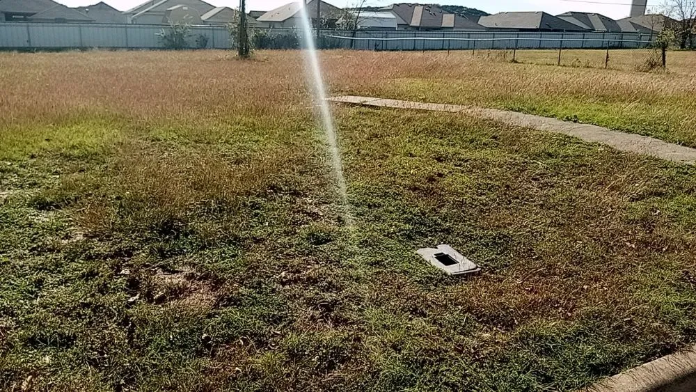 Local lawn mowing service in Waco, TX by Frosch Lawn & Tree Service