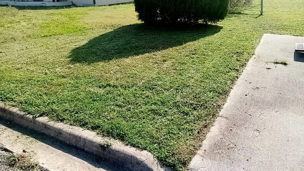 Reliable yard cleanup service for beautiful yards in Waco, TX by Frosch Lawn & Tree Service