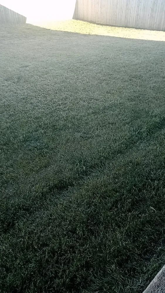 Local yard maintenance for outdoor upgrades across Waco, TX - Frosch Lawn & Tree Service