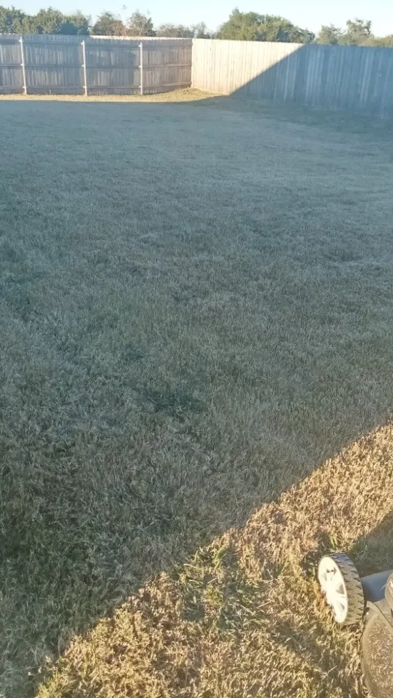 Reliable lawn care service in Waco, TX - Frosch Lawn & Tree Service