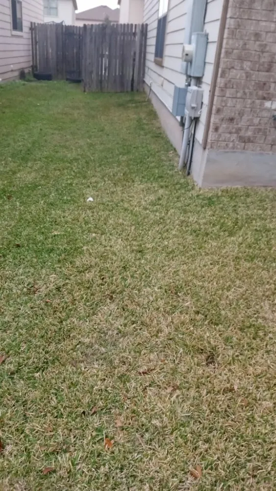 Trusted lawn care service for beautiful yards across Waco, TX - Frosch Lawn & Tree Service