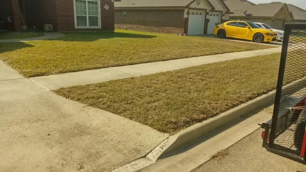 Top-rated yard cleanup service in Waco, TX by Frosch Lawn & Tree Service