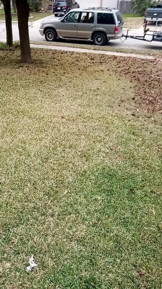 Affordable lawn mowing service near you in Waco, TX by Frosch Lawn & Tree Service