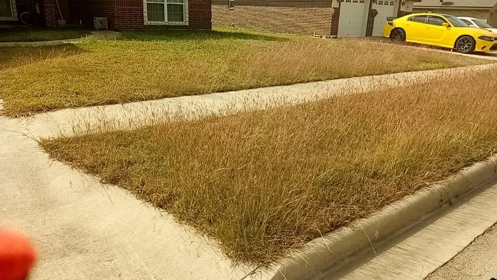Top-rated garden landscaping for residential properties in Waco, TX by Frosch Lawn & Tree Service