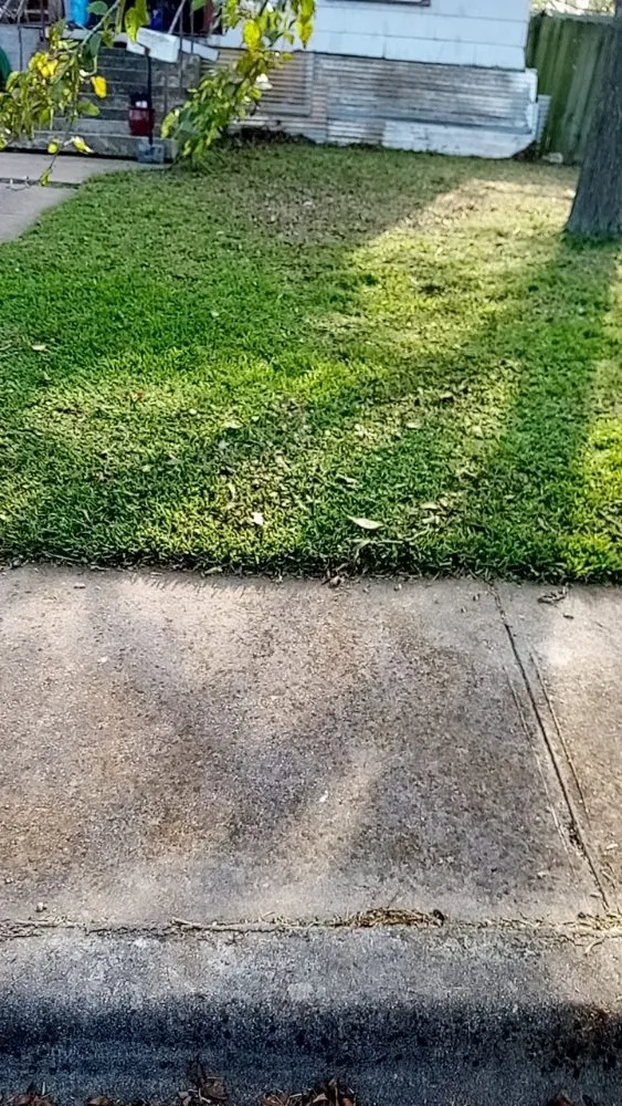 Expert outdoor landscaping in Waco, TX by Frosch Lawn & Tree Service