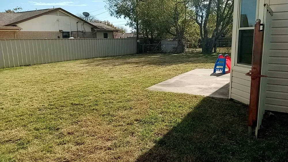 Local lawn care service in Waco, TX - Frosch Lawn & Tree Service