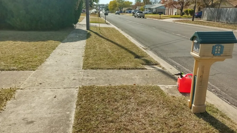 Affordable yard maintenance in Waco, TX - Frosch Lawn & Tree Service