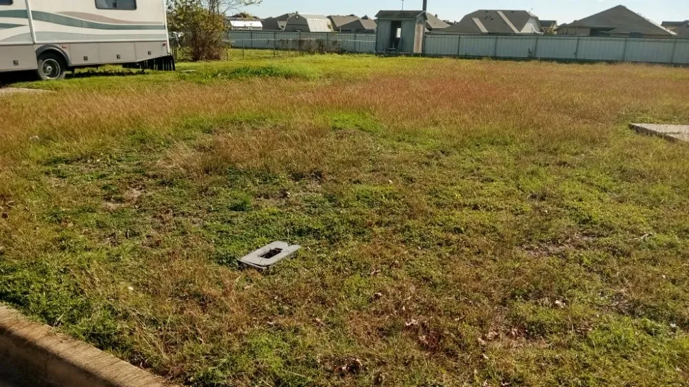 Reliable lawn care service experts serving Waco, TX - Frosch Lawn & Tree Service