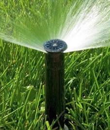 Reliable lawn care service in Orting, WA - Frost Landscape & Design