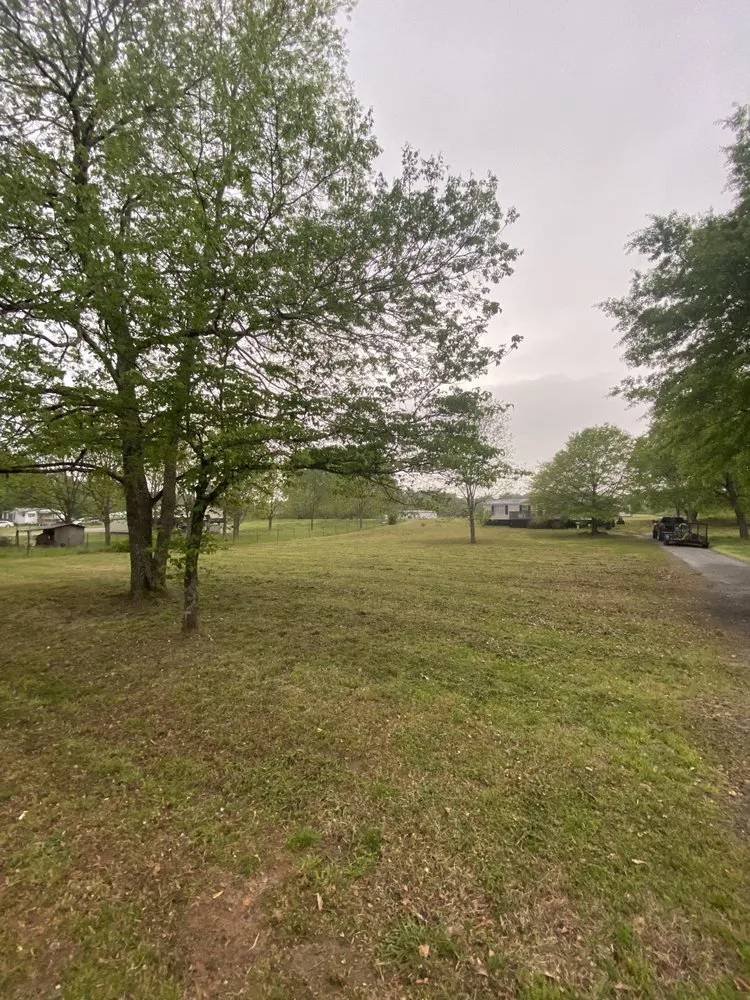 Expert lawn care service in Belton, SC by Frost Landscaping & Design