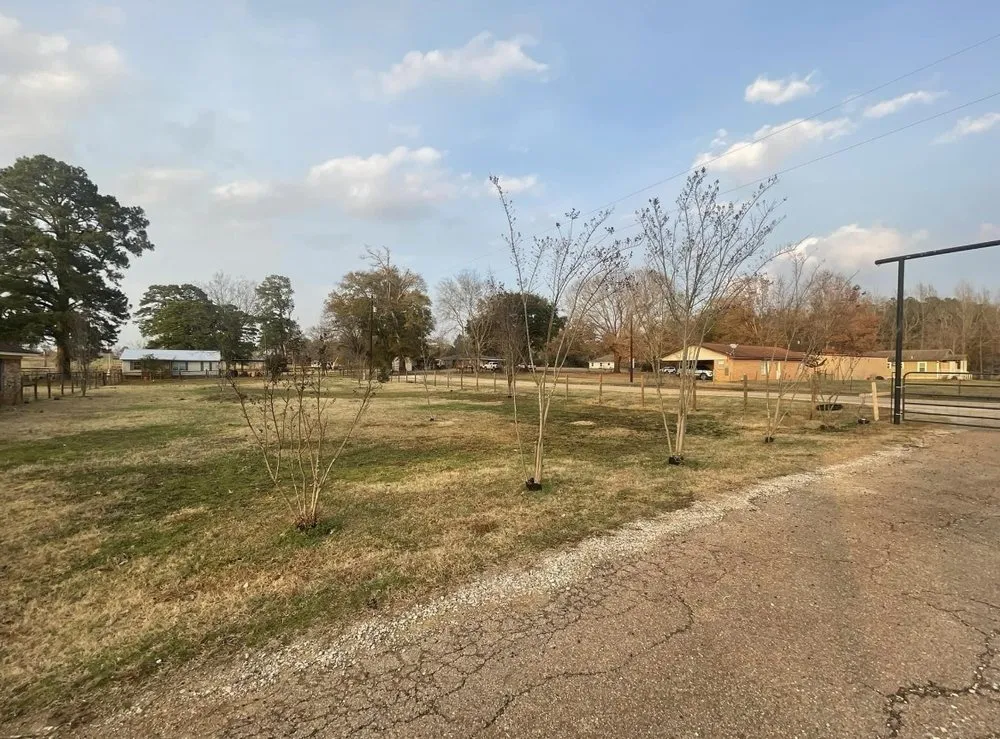 Professional garden landscaping with custom design in Nacogdoches, TX by Frost Landscaping and Irrigation