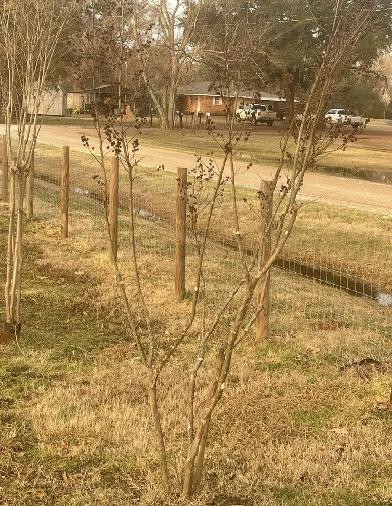 Local residential landscaping experts serving Nacogdoches, TX - Frost Landscaping and Irrigation