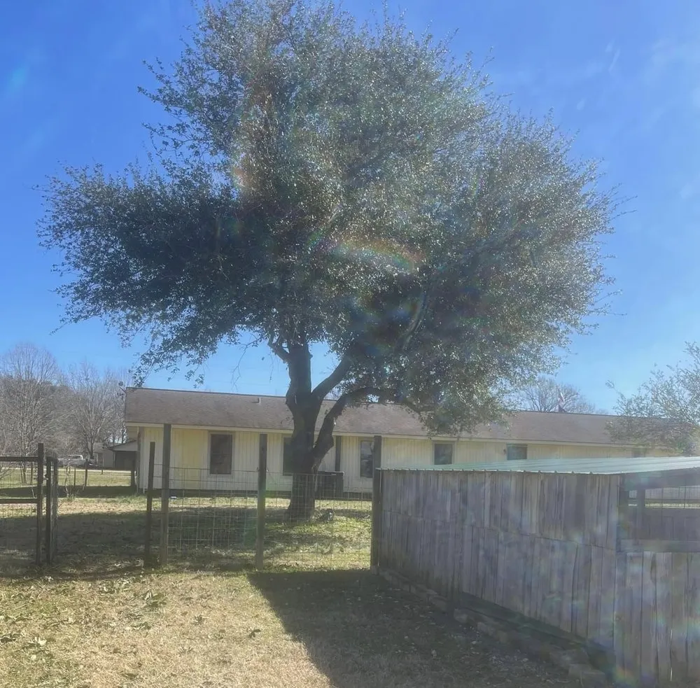 Trusted outdoor landscaping for outdoor upgrades across Nacogdoches, TX - Frost Landscaping and Irrigation