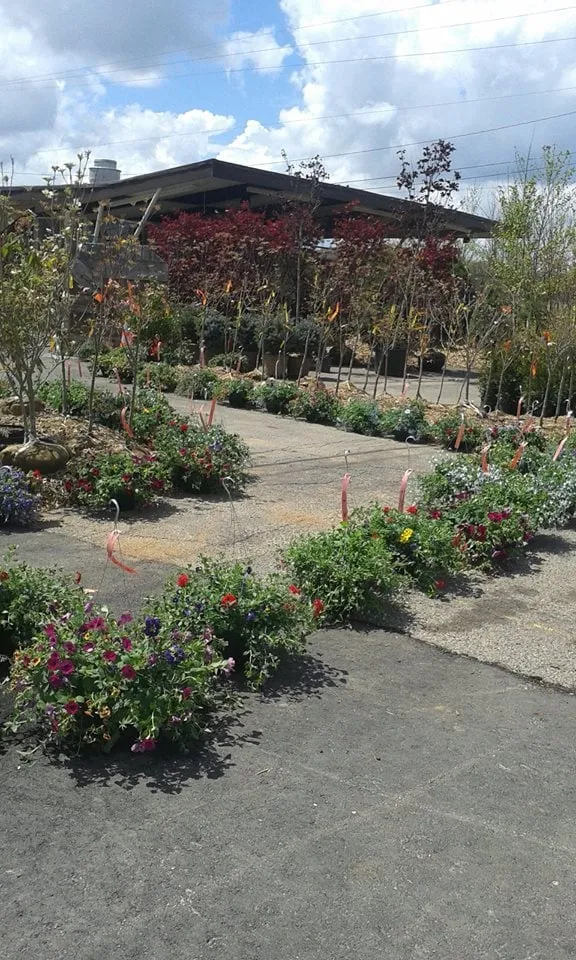 Top-rated outdoor landscaping experts serving Springfield, OH - Frostop