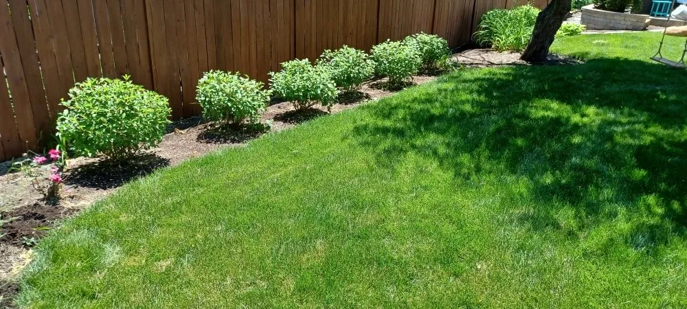 Affordable residential landscaping in Lebanon, IN by Frosty Green's Landscaping