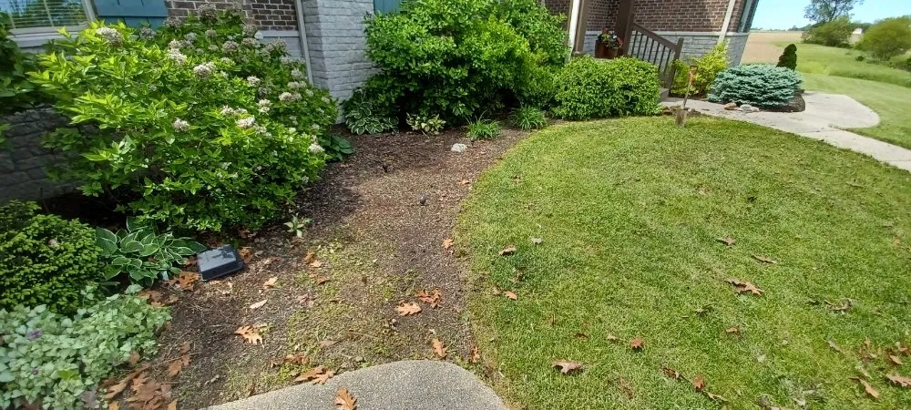 Expert lawn care service in Lebanon, IN by Frosty Green's Landscaping
