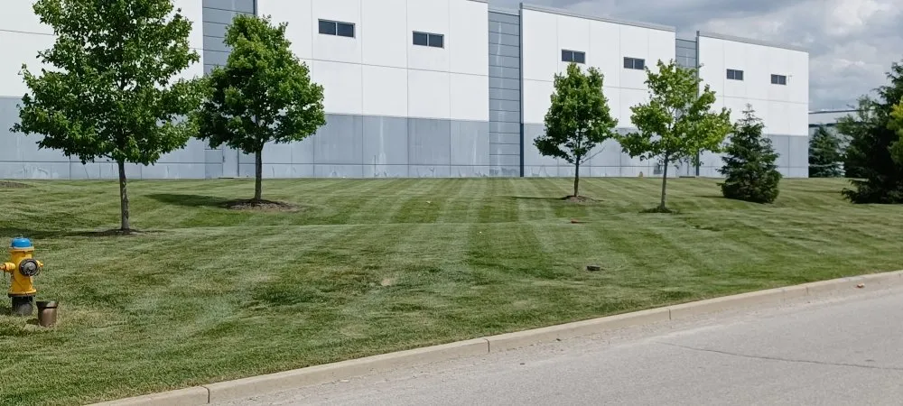 Affordable lawn care service in Lebanon, IN - Frosty Green's Landscaping