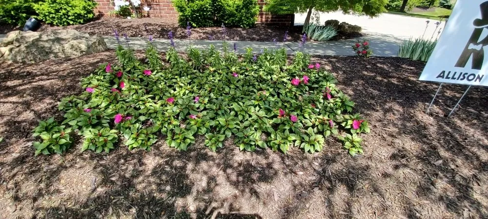 Local residential landscaping in Lebanon, IN by Frosty Green's Landscaping