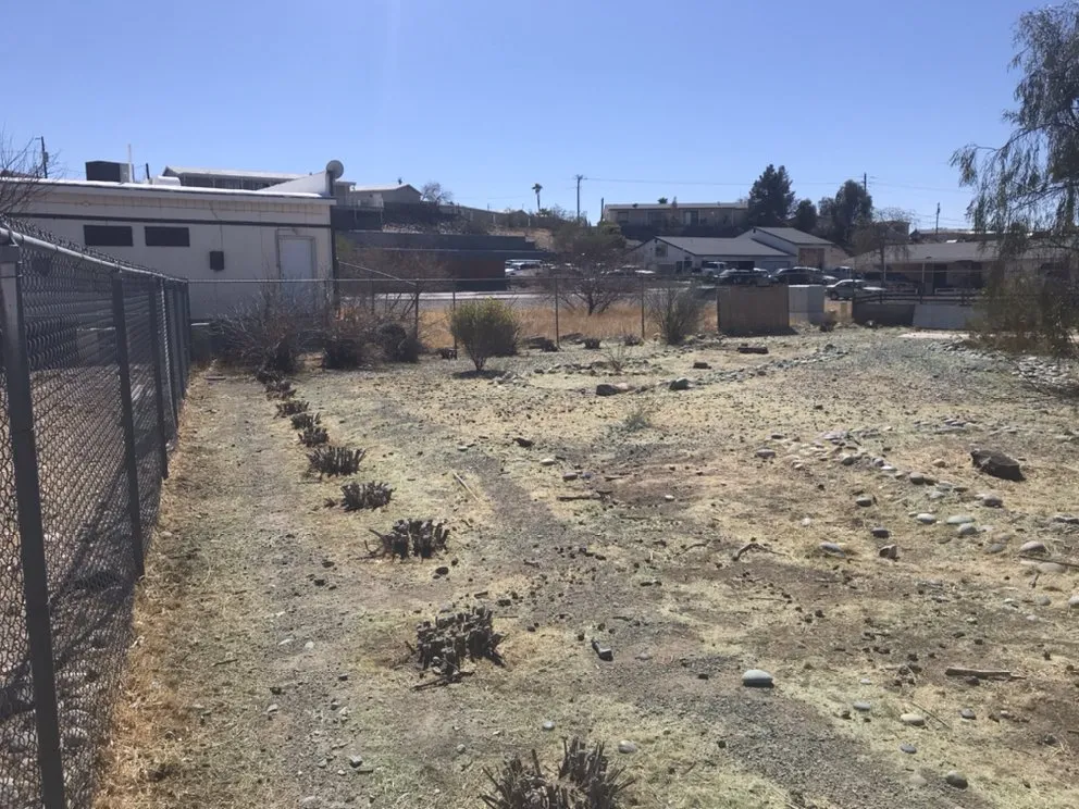 Affordable lawn mowing service in Bullhead City, AZ - Froude Services