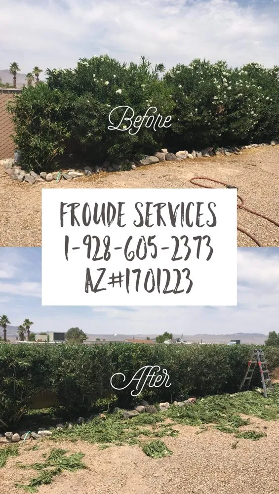 Custom landscape installation in Bullhead City, AZ by Froude Services