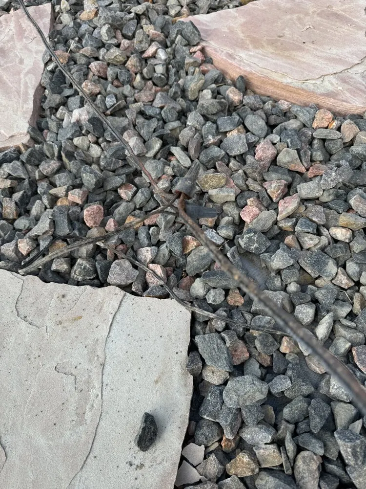 Local landscaping services in Broomfield, CO - FRSR