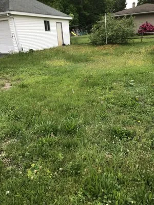 Fruitful Lawn Maintenance